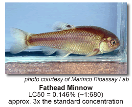 Existing Lake and Pond Sealing